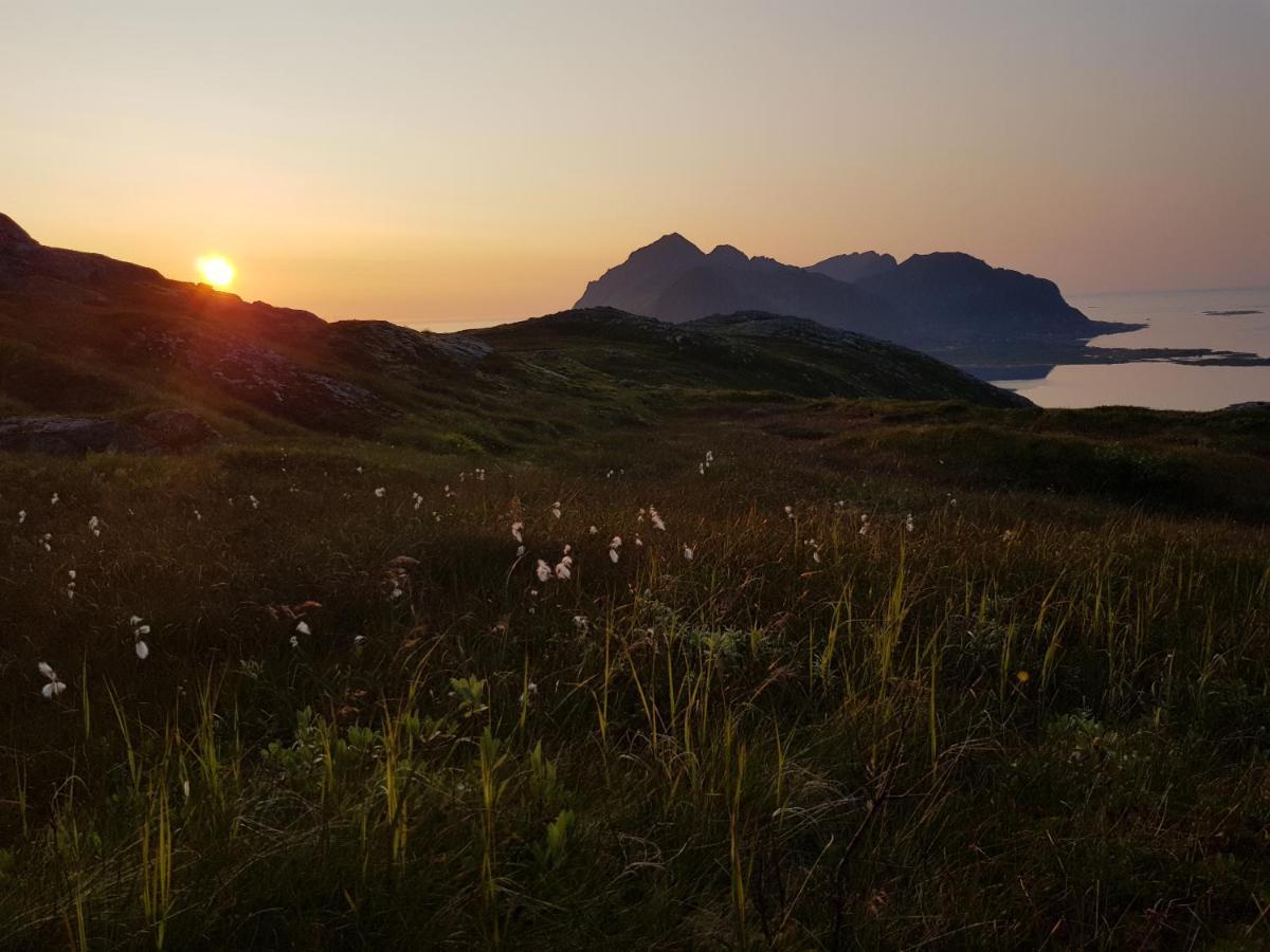 Kvalnes  Villa Walter Lofoten With Sauna מראה חיצוני תמונה