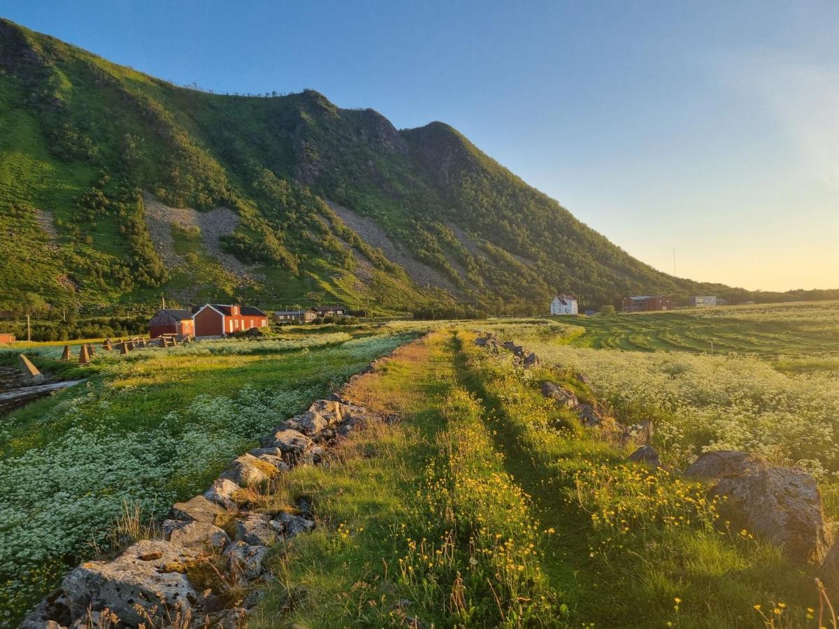 Kvalnes  Villa Walter Lofoten With Sauna מראה חיצוני תמונה