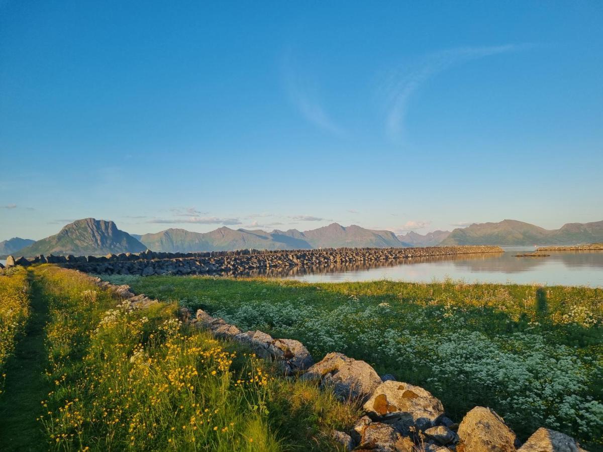 Kvalnes  Villa Walter Lofoten With Sauna מראה חיצוני תמונה