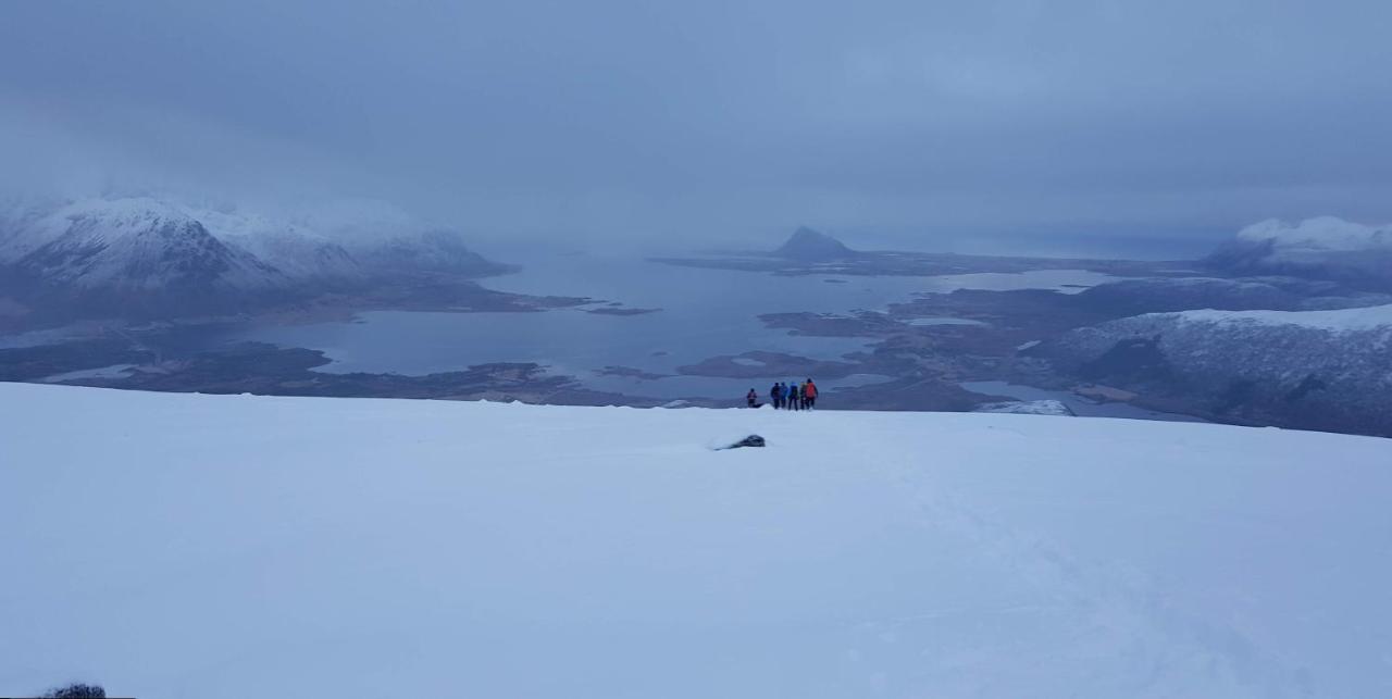 Kvalnes  Villa Walter Lofoten With Sauna מראה חיצוני תמונה