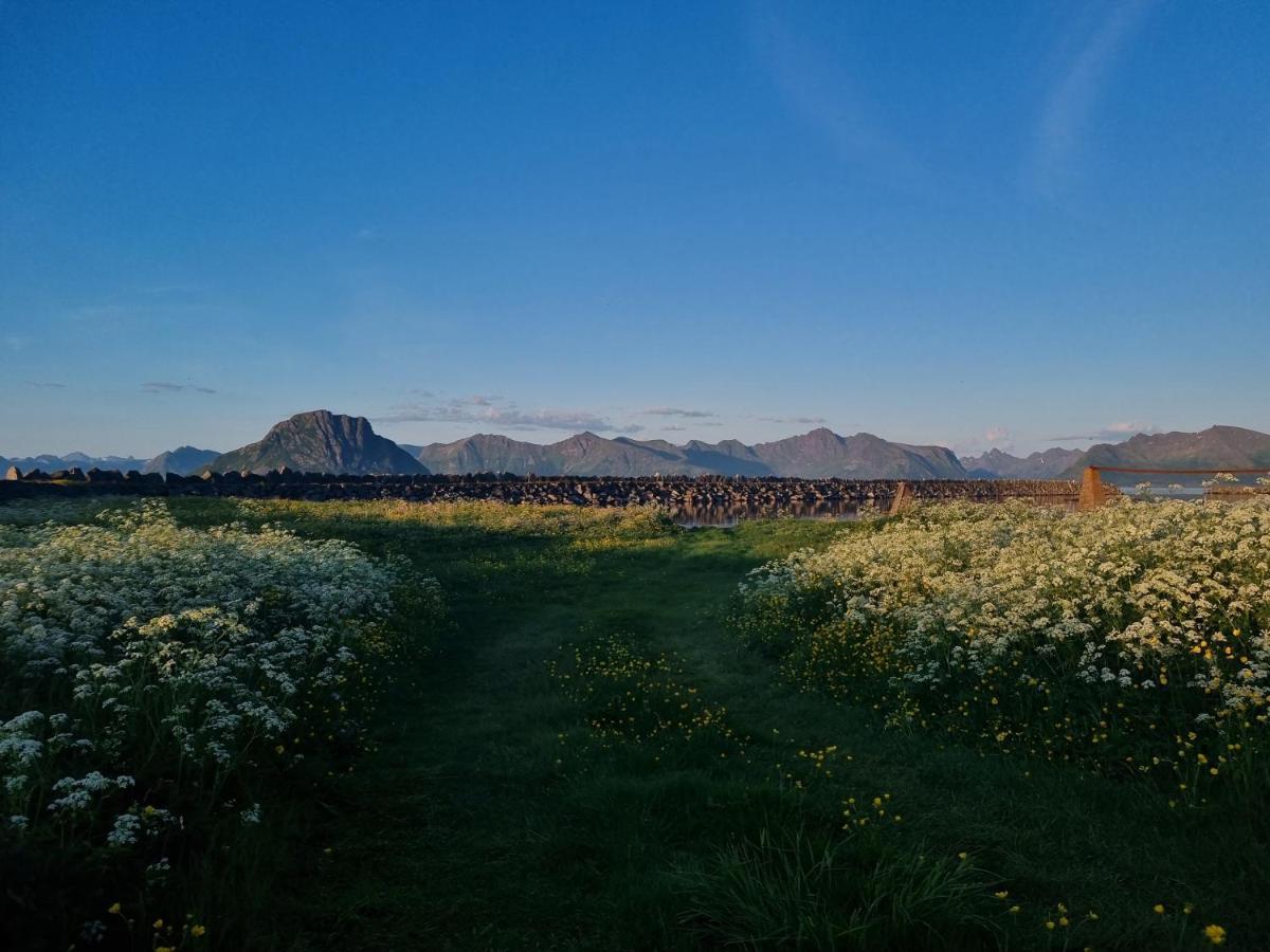 Kvalnes  Villa Walter Lofoten With Sauna מראה חיצוני תמונה
